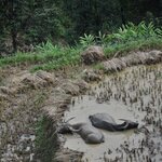 Photo taken by κατερινα κ