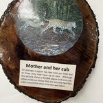 Photo taken by Cynthia C