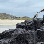 Photo taken by Maggie K