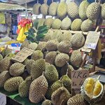 Photo taken by Sabiha K