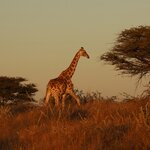 Photo taken by Joaquin M