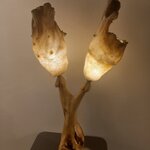 Photo taken by Arundhati G