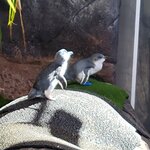 Photo taken by Don P