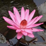 Photo taken by Steve W