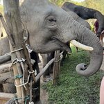 Photo taken by Thomas C