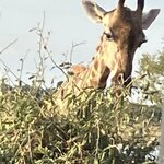 Photo taken by rhonda c