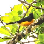 Photo taken by Joyce C