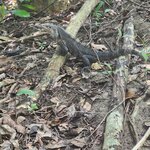 Photo taken by Ram R