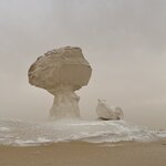 Photo taken by Jacqueline W