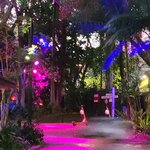 Photo taken by Maggie W