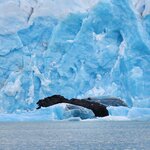 Photo taken by Devon B