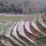 Photo taken by Tony W