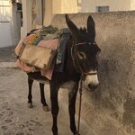 Photo taken by John N