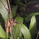 Photo taken by Kelly K