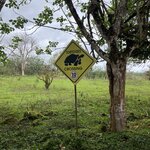 Photo taken by Lisa T