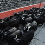 Photo taken by Karen W