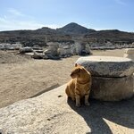 Photo taken by Amanda F