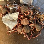 Photo taken by BARBARA A