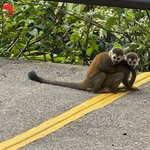 Photo taken by Chris H