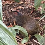 Photo taken by Randy H