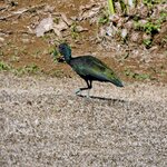 Photo taken by Brett F