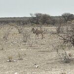 Photo taken by Nigel R