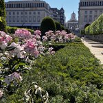 Photo taken by Martin D