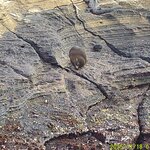 Photo taken by Richard P