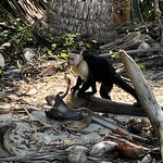 Photo taken by Martin L