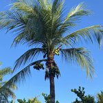 Photo taken by prakash m