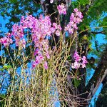 Photo taken by Brett F