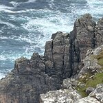 Photo taken by Danielle P