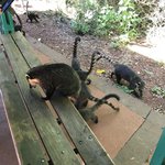 Photo taken by Deborah M