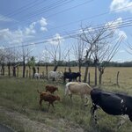 Photo taken by Robin W