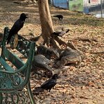 Photo taken by Fuad A