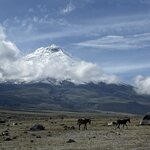 Photo taken by Vicki Lynn M