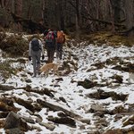 Photo taken by Amy S