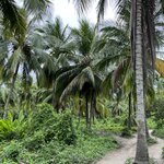 Photo taken by Beatriz V