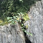 Photo taken by Linda O