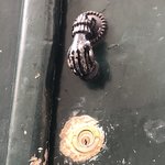 Photo taken by Allyson A