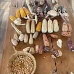 Photo taken by Martha H