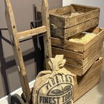 Photo taken by Bee B