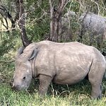 Photo taken by rhonda c