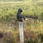 Photo taken by Michael L