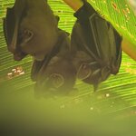 Photo taken by Chris H