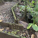 Photo taken by Matt P