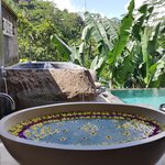 Photo taken by Alexandra G