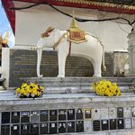 Photo taken by Paulette D