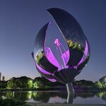 Photo taken by Thomas V