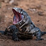 Photo taken by Matt W